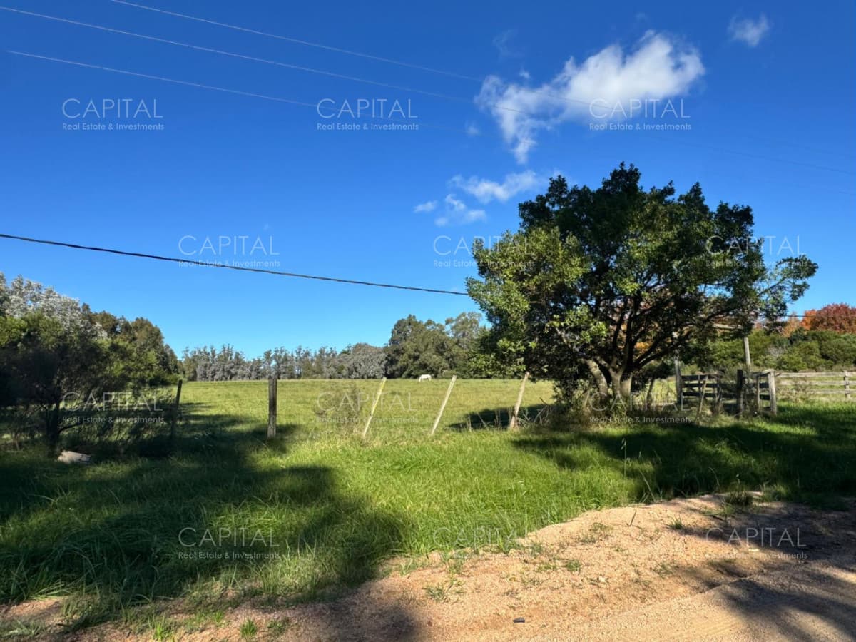 Venta Chacra 3 Hectareas en La Barra