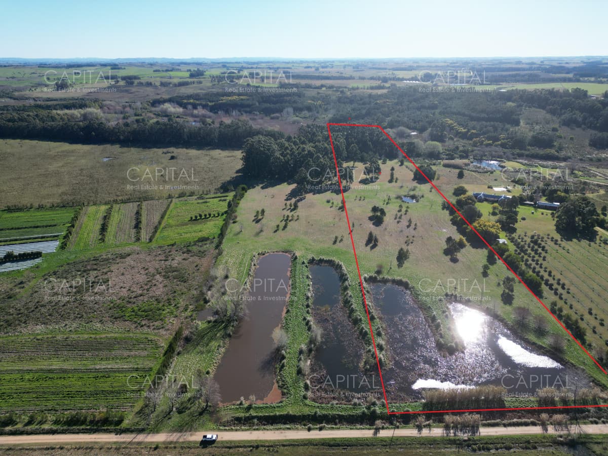 Chacra de 5 has sobre ruta 104 próximo a NARBONA La Plantación