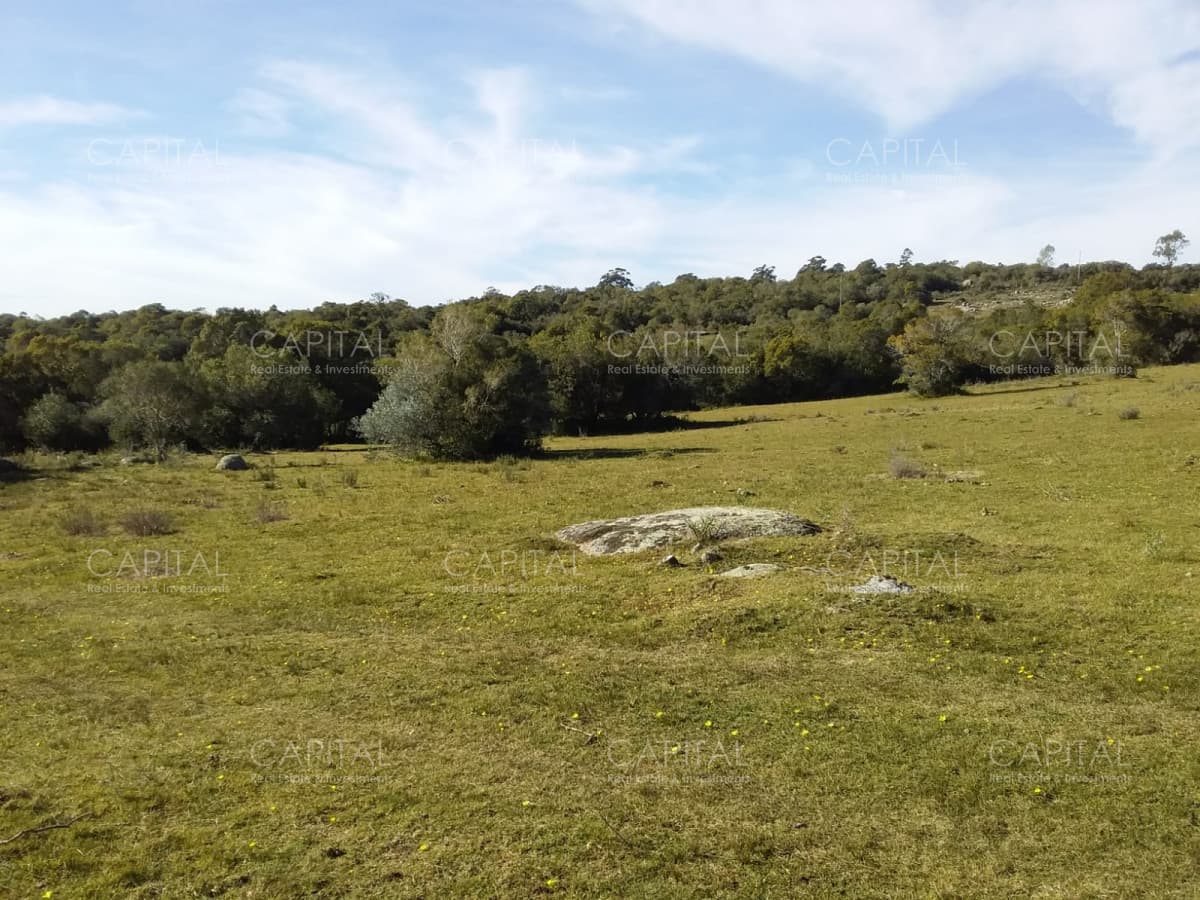 Chacra en Ruta 39, en venta