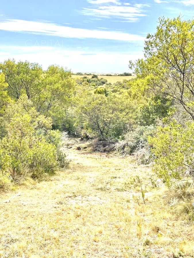 Chacra en Venta de 5 hectáreas en Pueblo Garzon