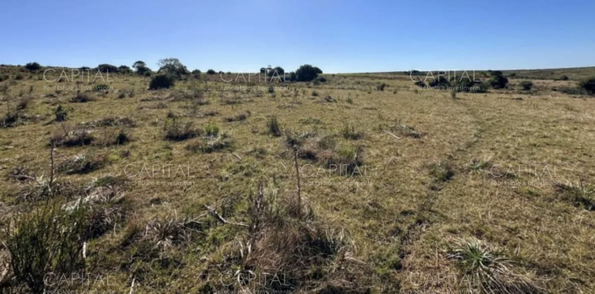 Chacra de 10 hectareas a pocos kilometros de Pueblo Garzón