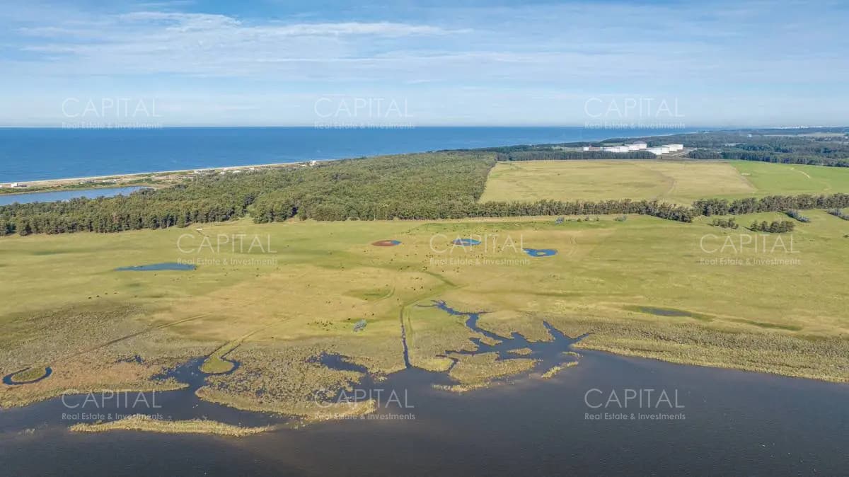 Chacra de 5 has sobre Laguna José Ignacio
