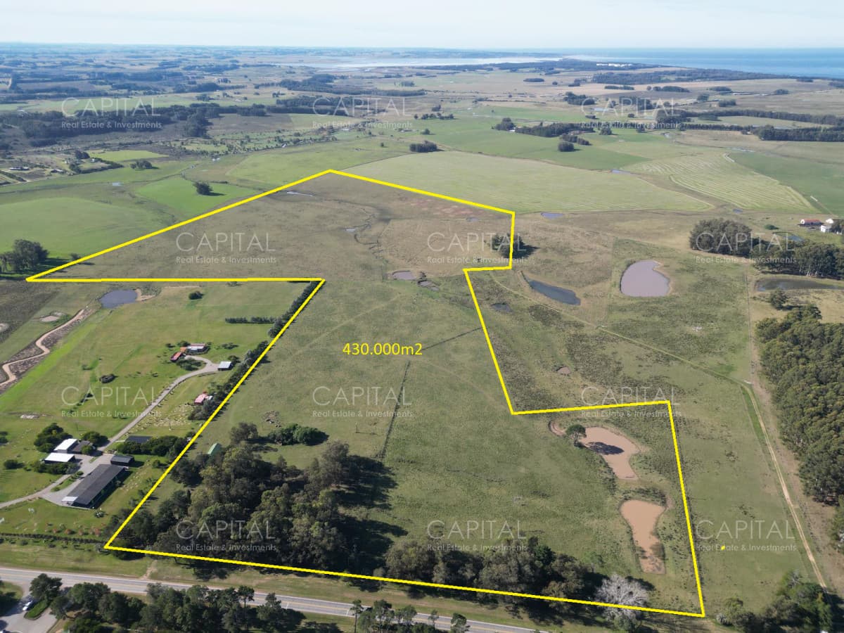 Chacra Manantiales Ruta 104 43 hectareas en Venta Frente a MACA Atchugarry Pueblo Mio