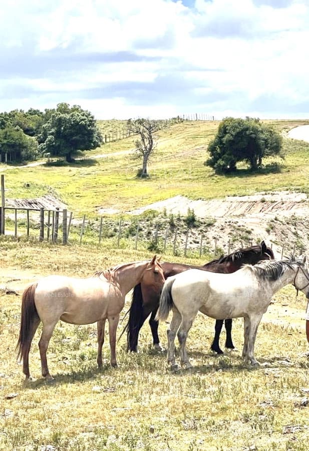 venta de Chacra en Pueblo Garzon