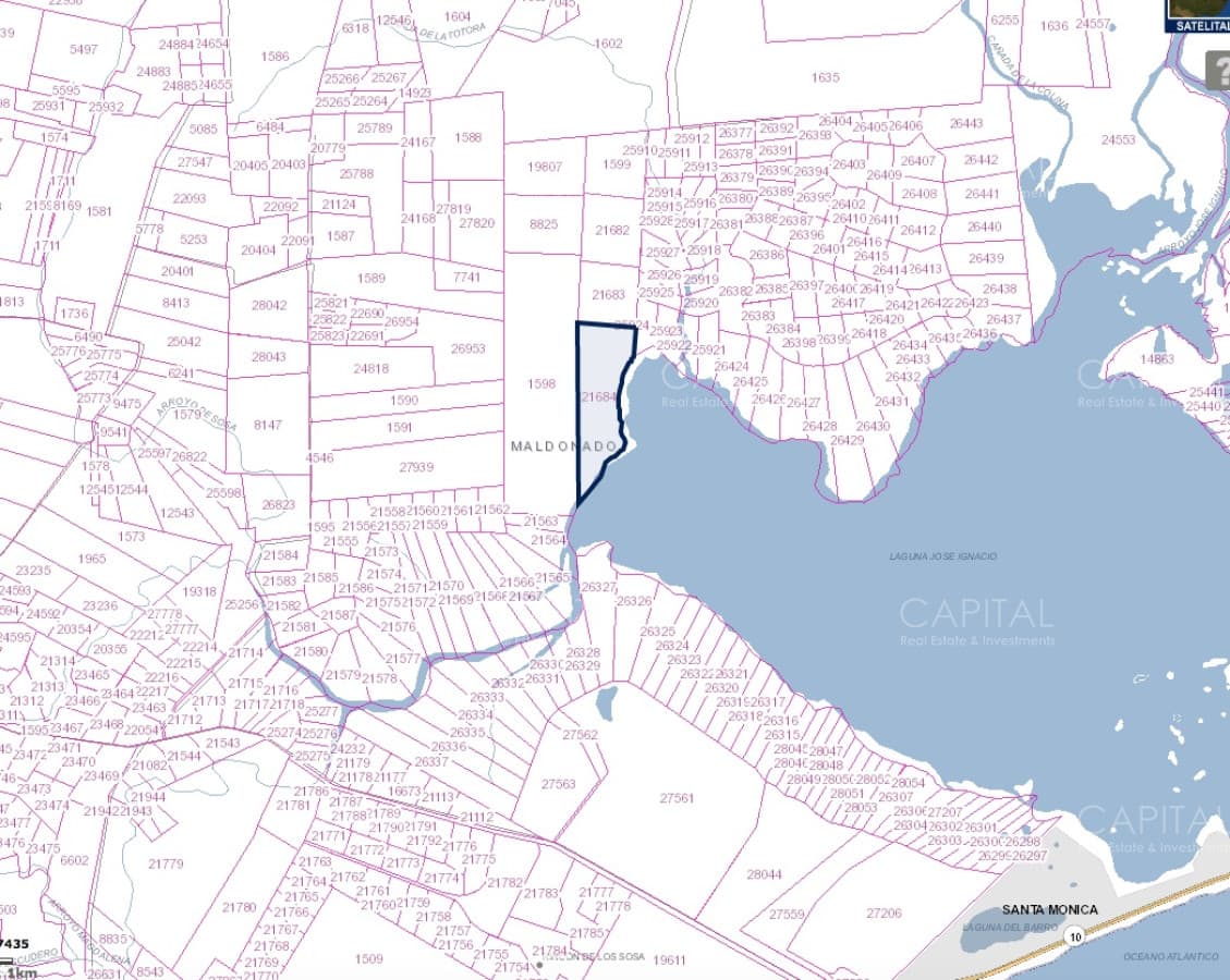 Chacra de 30 hectareas sobre Laguna de Jose Ignacio en Venta