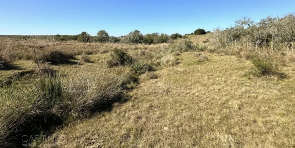 Chacra de 10 hectareas a pocos kilometros de Pueblo Garzón