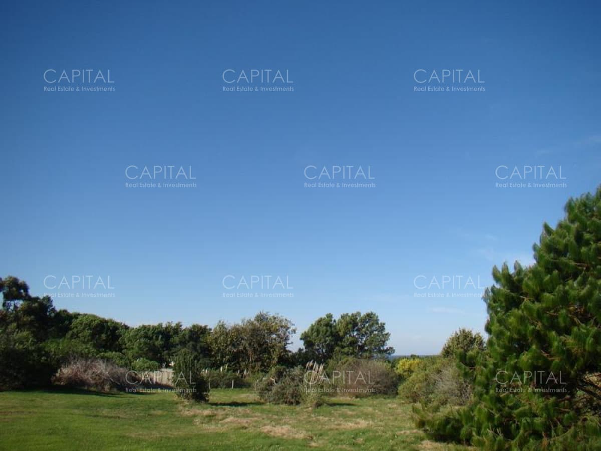 Lote en Venta Ruta 104 Mangrullos de Punta Piedra