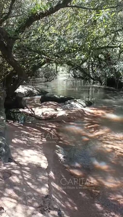Chacra de 10 has en Ruta 39 a min. de San Carlos