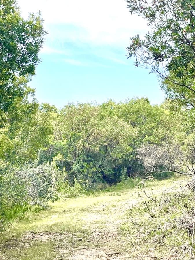 Chacra en Venta de 5 hectáreas en Pueblo Garzon