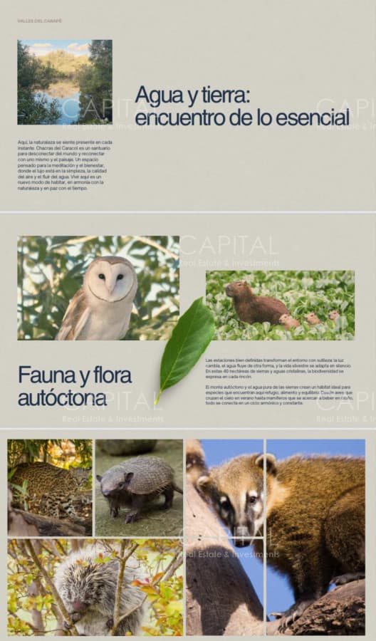 Chacras de 3 has Sierra de los Caracoles