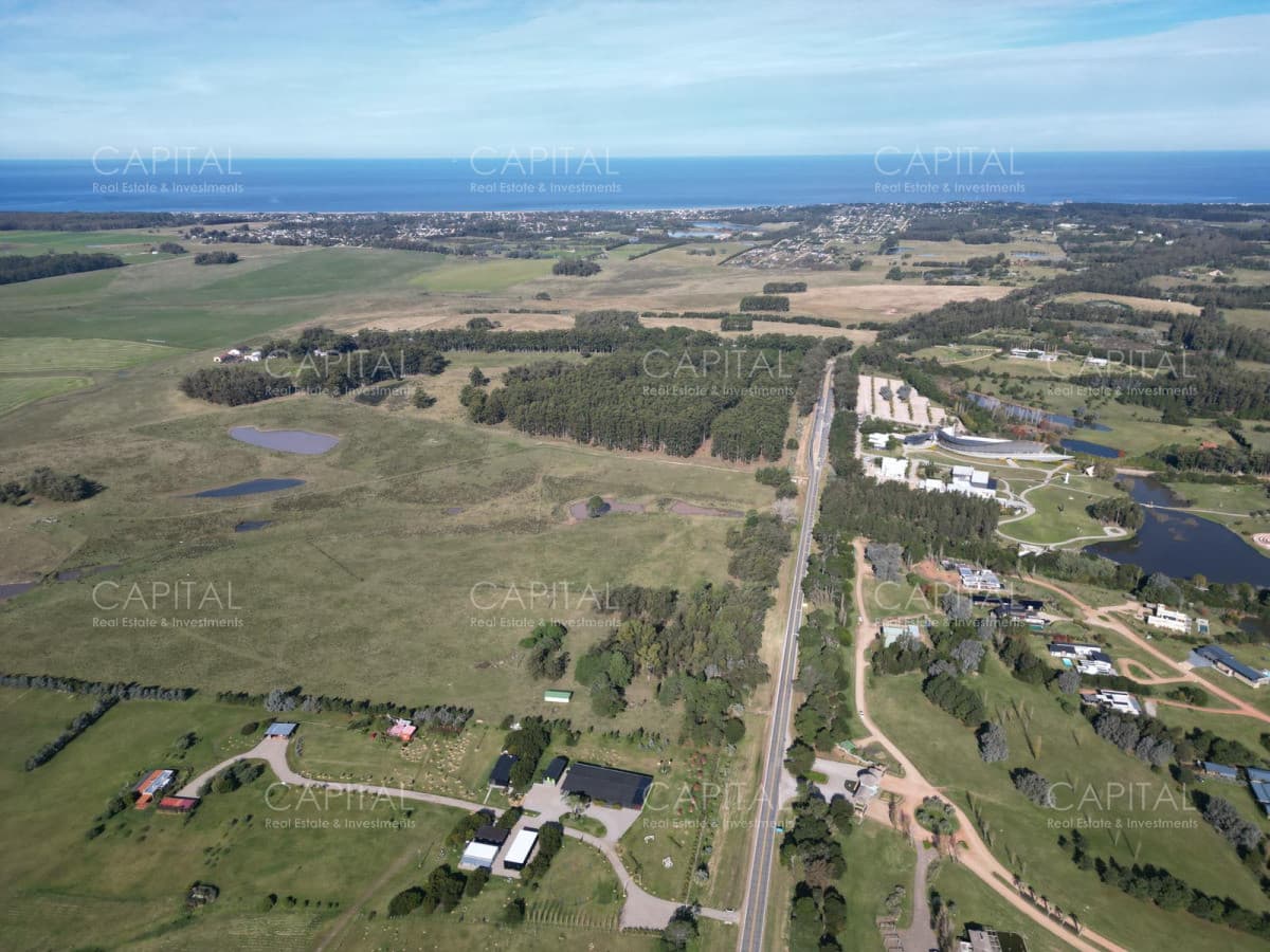 Chacra Manantiales Ruta 104 43 hectareas en Venta Frente a MACA Atchugarry Pueblo Mio