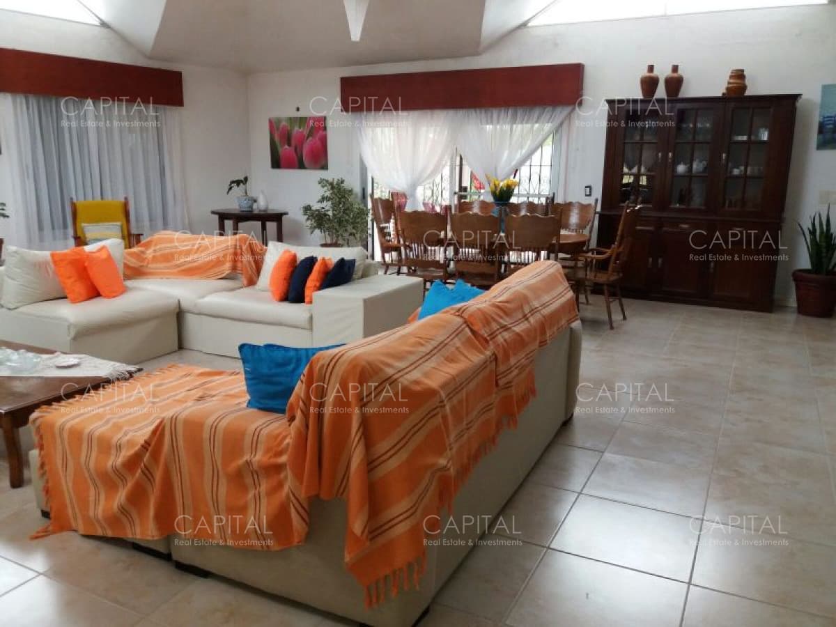 Venta de Chacra + Camino de los Ceibos, Punta del Este