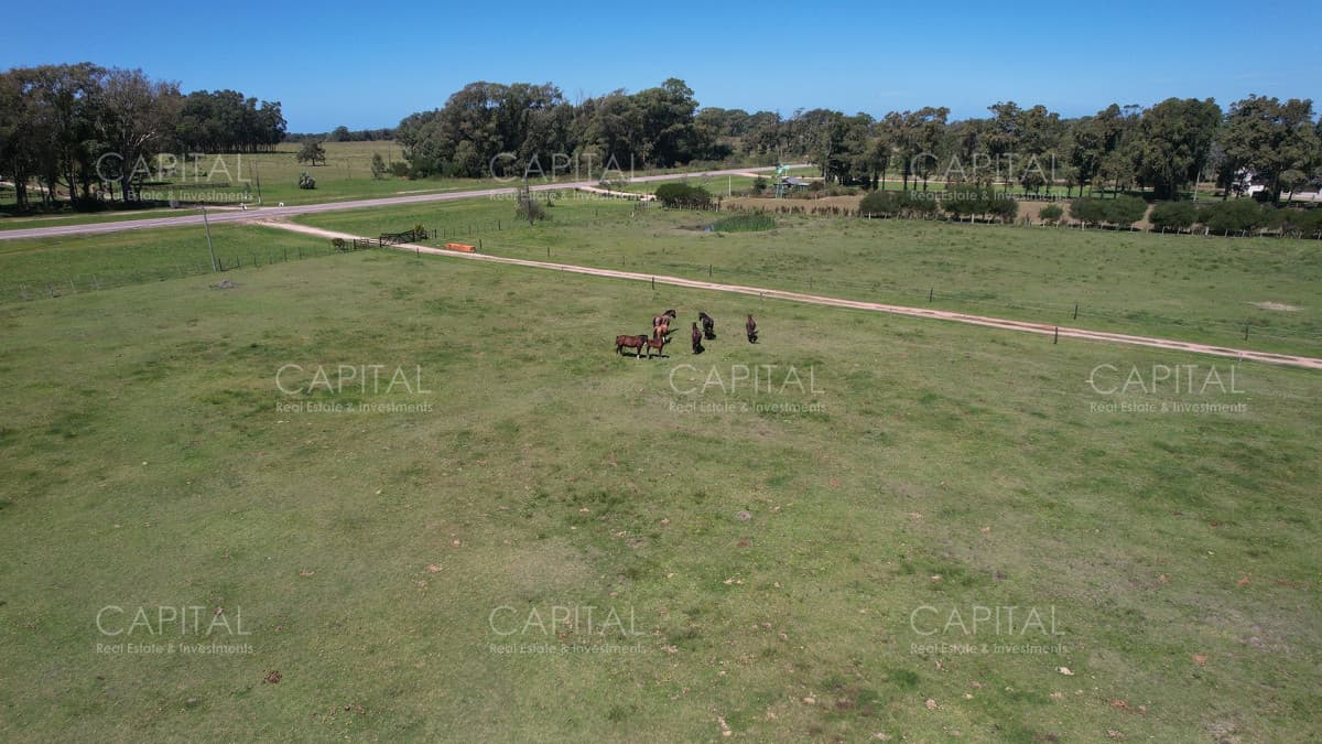 Haras en Venta de  22has en La Coronilla, Rocha