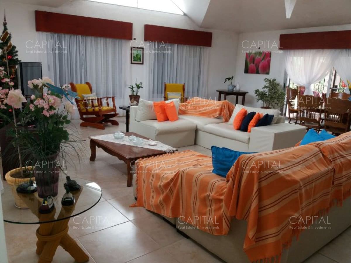 Venta de Chacra + Camino de los Ceibos, Punta del Este