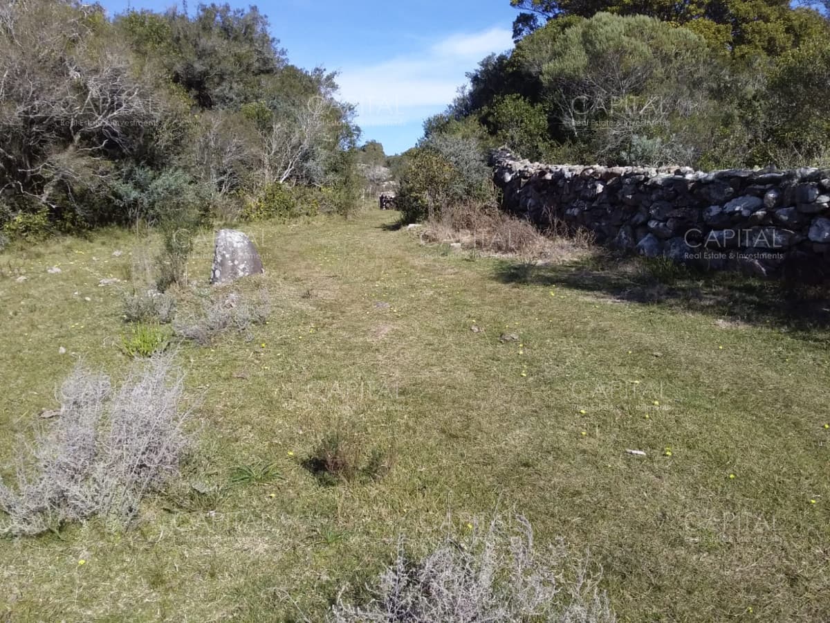 Chacra en Ruta 39, en venta