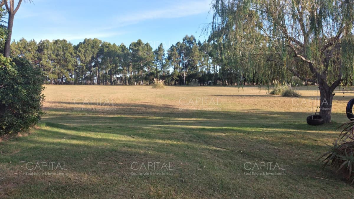 Chacra de 5has en venta, Camino de Eguzquiza San Carlos
