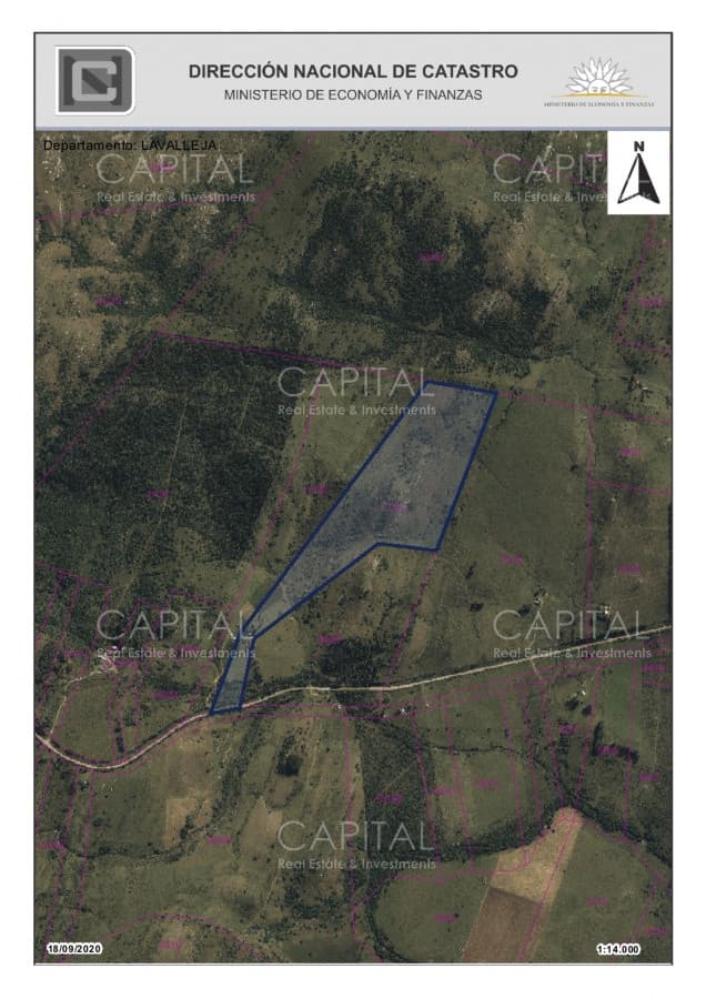Campo de 39 hectareas en venta en Aiguá