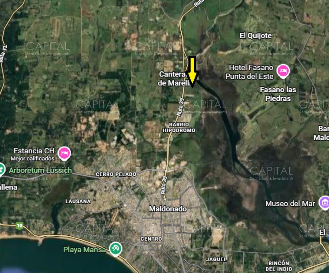 Chacra de 41 has sobre ruta 39