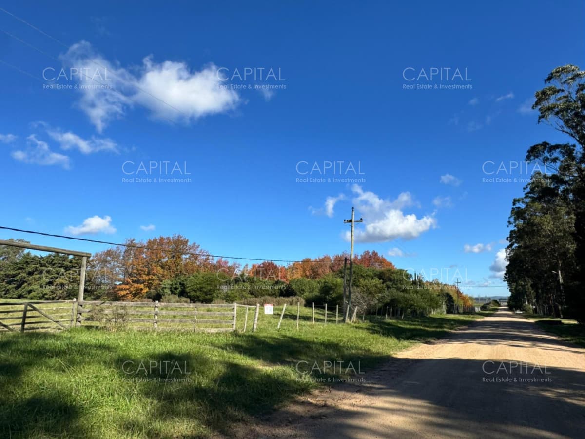 Venta Chacra 3 Hectareas en La Barra
