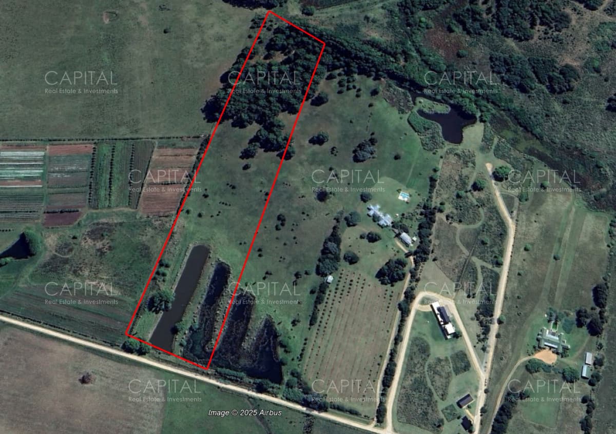 Chacra de 5 has sobre ruta 104 próximo a MACA ,Pueblo Mío, NARBONA La Plantación