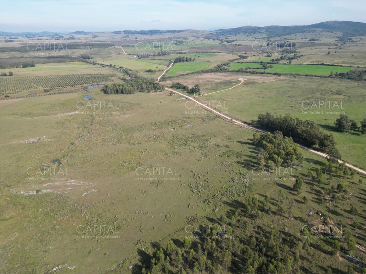 Chacra 5 has - Sierra de los Caracoles