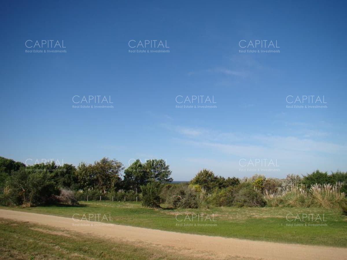 Lote en Venta Ruta 104 Mangrullos de Punta Piedra