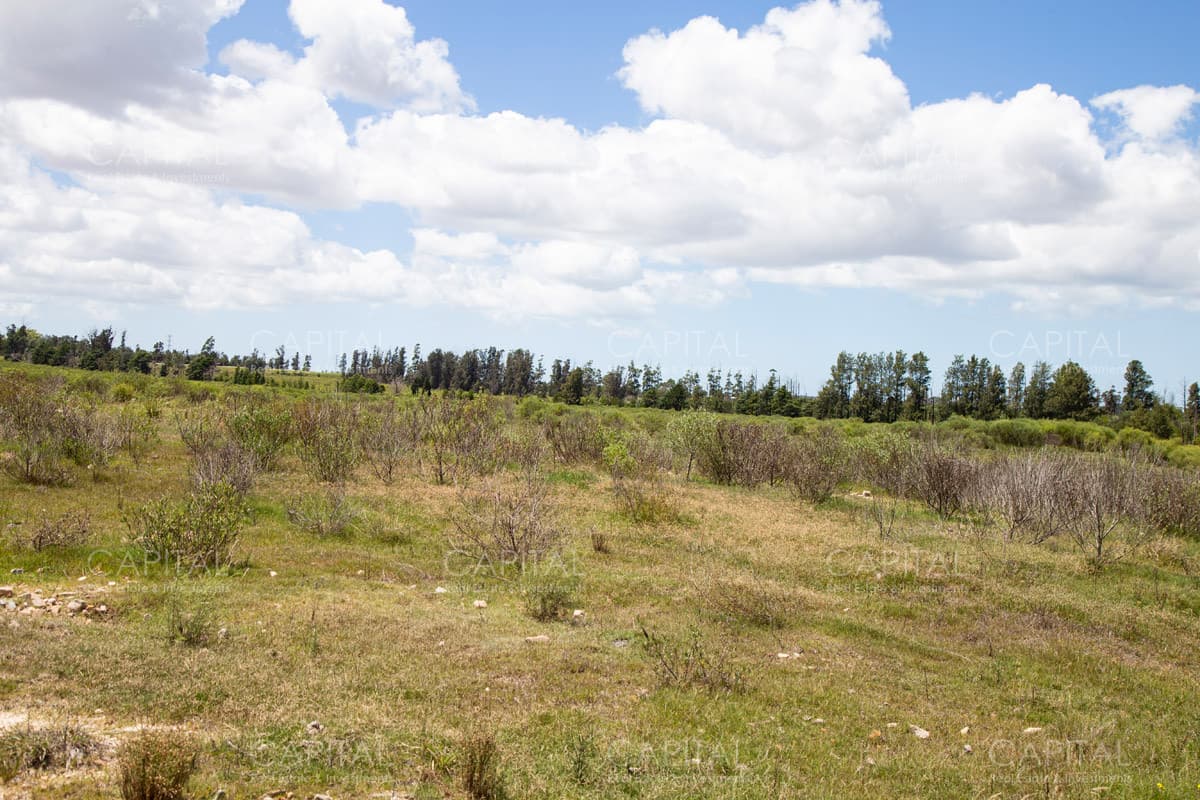 Excelente Chacra en venta - Ruta 9