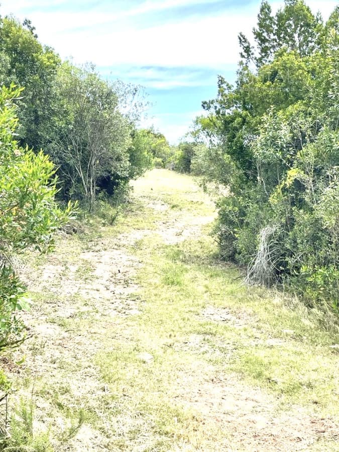 Chacra en Venta de 5 hectáreas en Pueblo Garzon