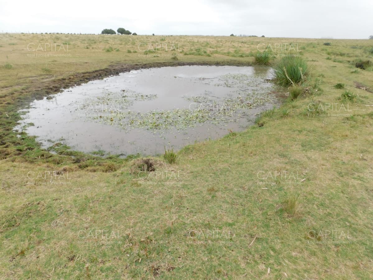Chacra en Ruta 9, Próximo a Garzón