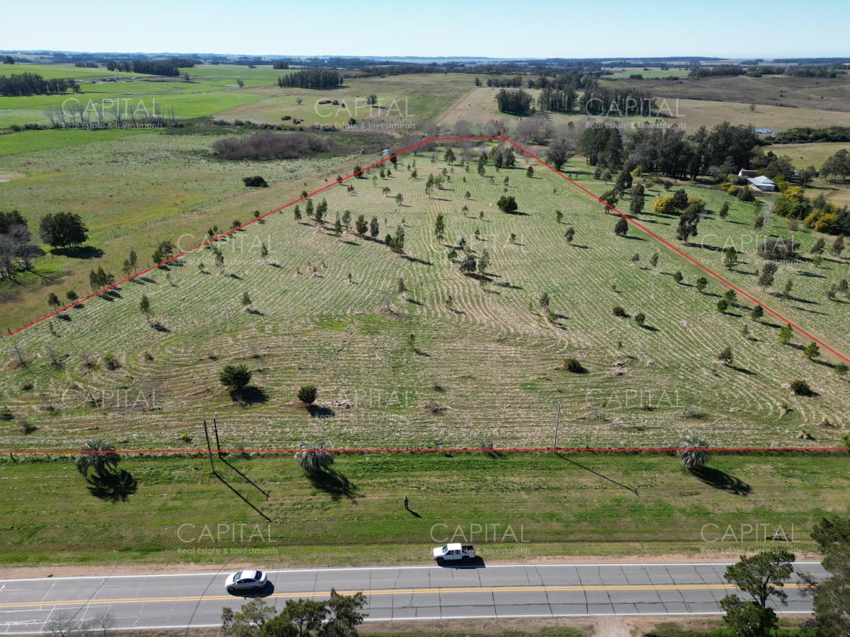 Chacra de 5 has sobre ruta 104 próximo Pueblo Mío, NARBONA La Plantación