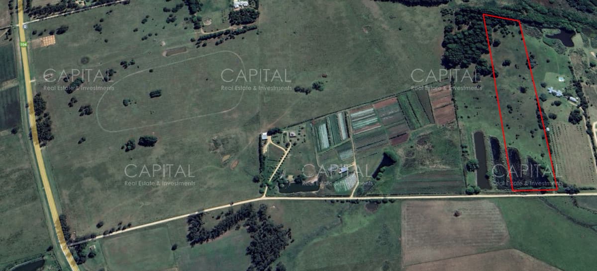 Chacra de 5 has sobre ruta 104 próximo a NARBONA La Plantación