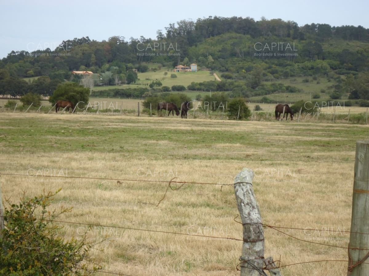 Excelente Chacra en venta en zona de La Pataia