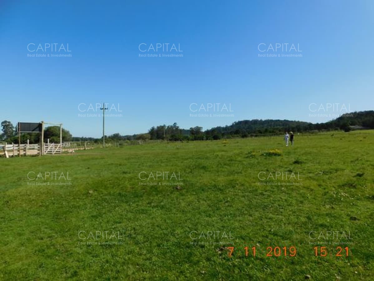Chacra en venta de 5 has por Ruta 12, Punta del Este.