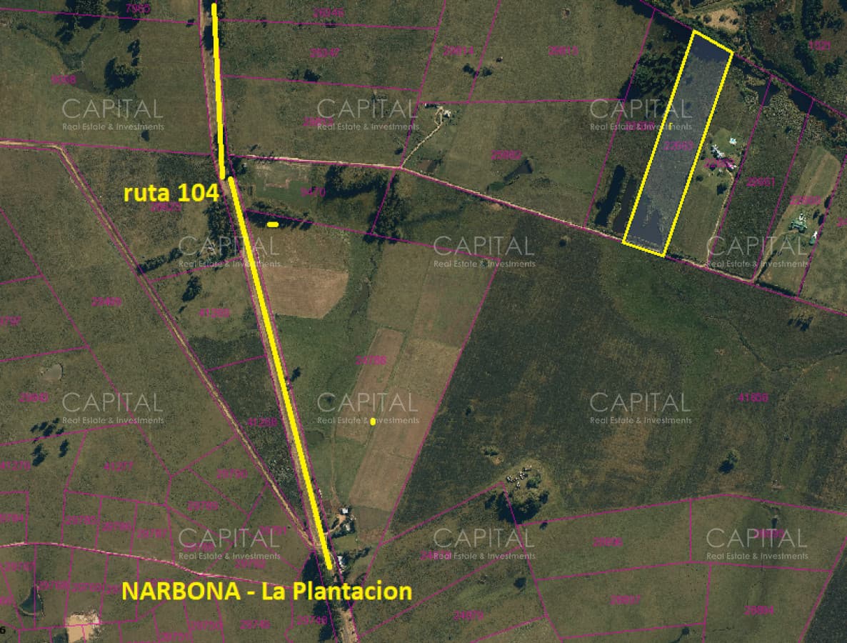 Chacra de 5 has sobre ruta 104 próximo a NARBONA La Plantación