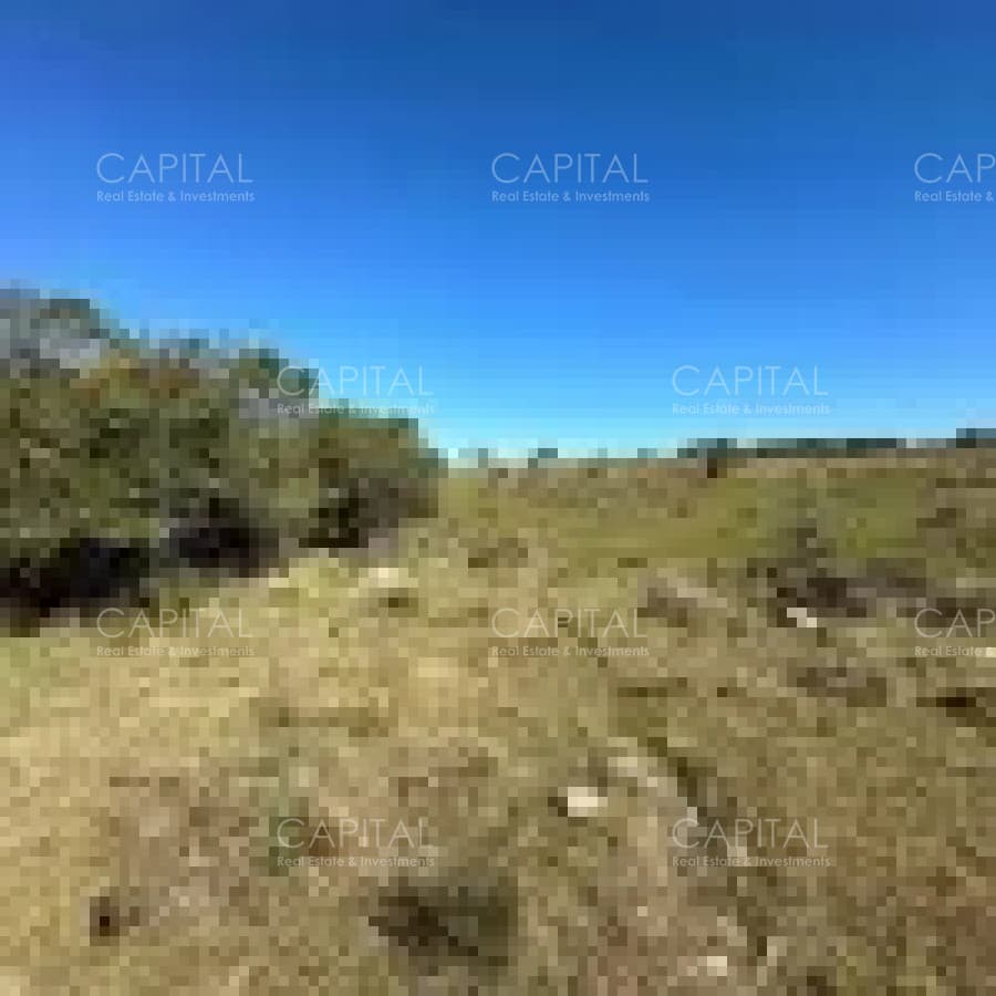 Chacra próxima a Garzón 10 has