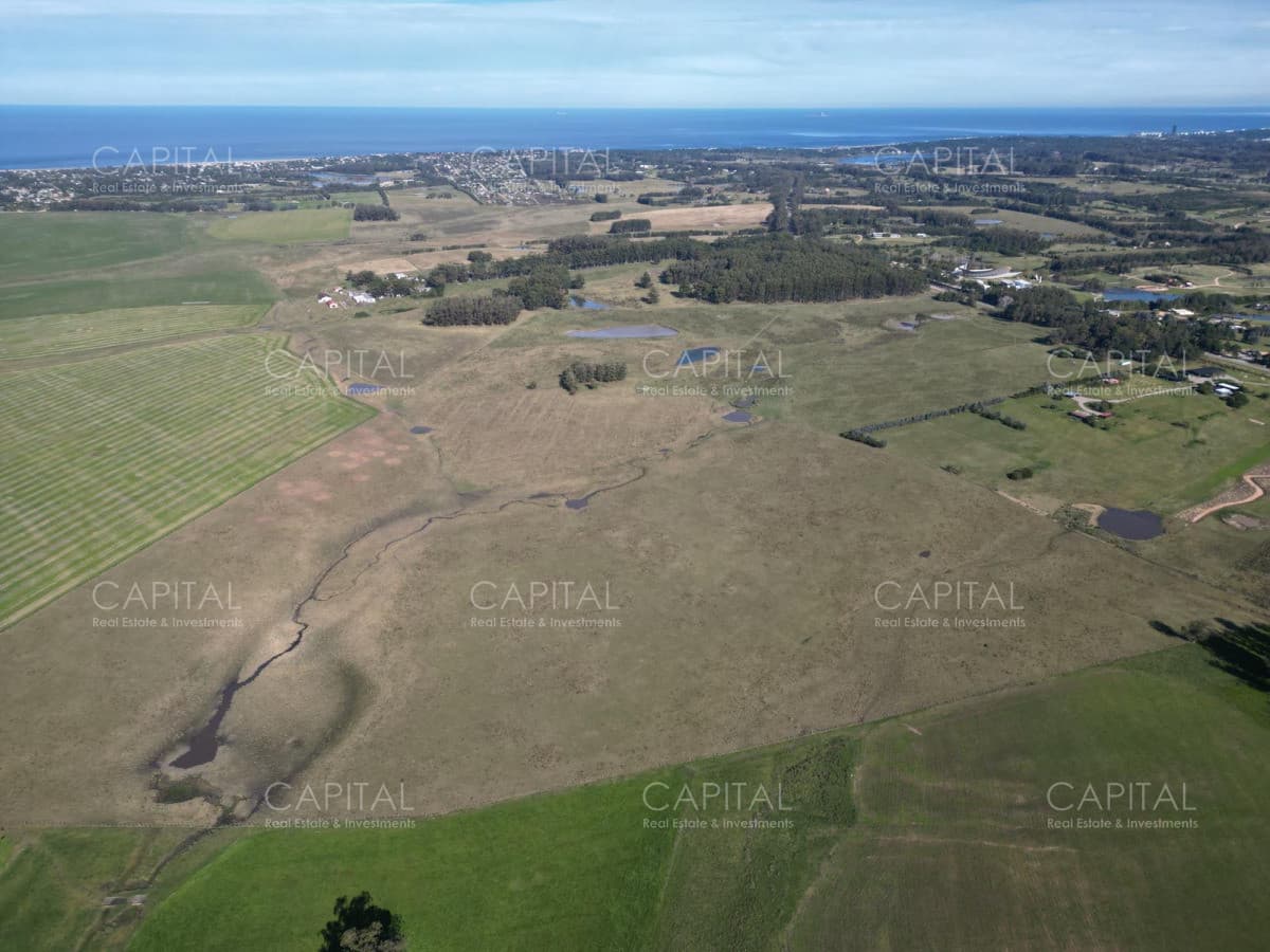 Chacra Manantiales Ruta 104 43 hectareas en Venta Frente a MACA Atchugarry Pueblo Mio