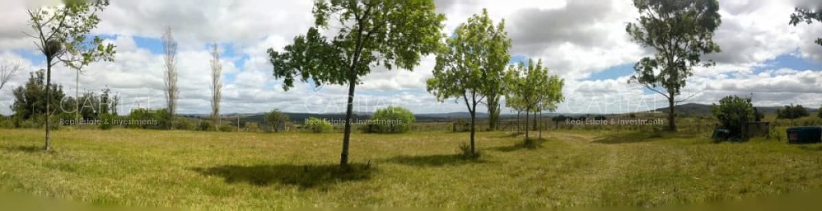 Muy buena chacra en venta - Ruta 39