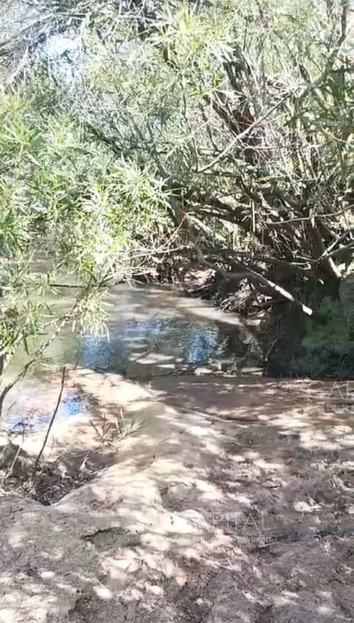 Chacra de 10 has en Ruta 39 a min. de San Carlos