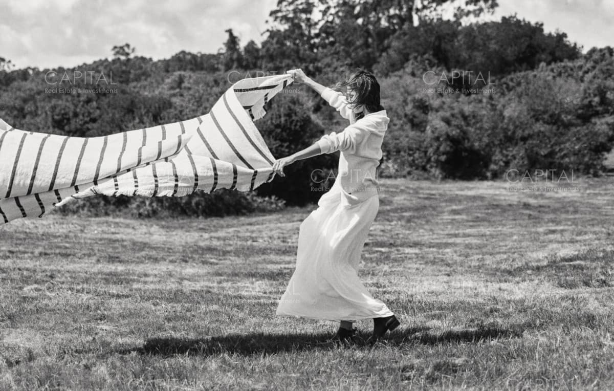The Colette Farm lote 04
