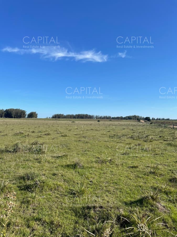 Chacra en venta, muy cerca de Club de Polo Santa Cruz.