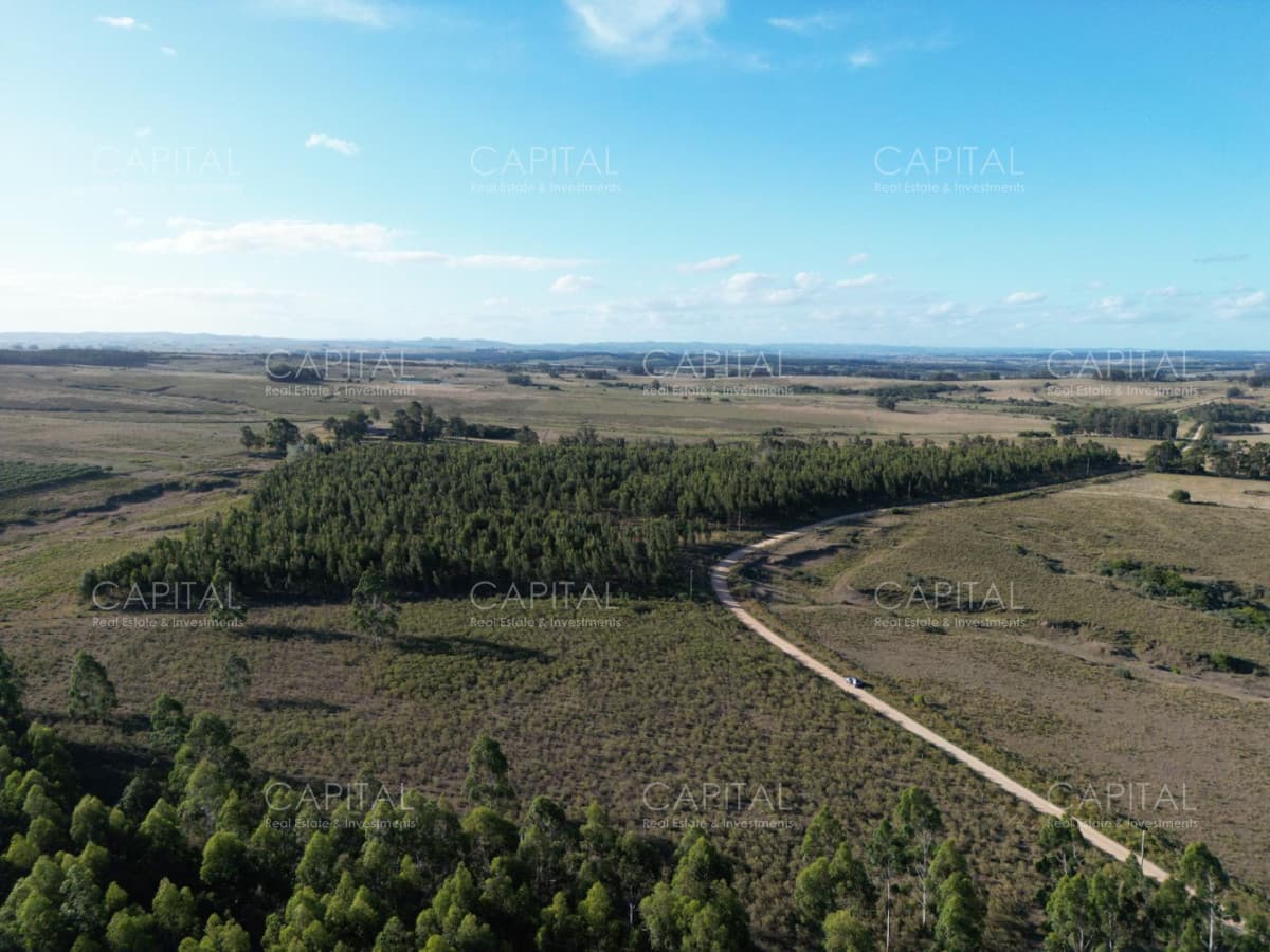Chacra de 31 has José Ignacio