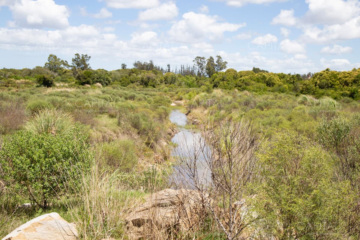 Excelente Chacra en venta - Ruta 9