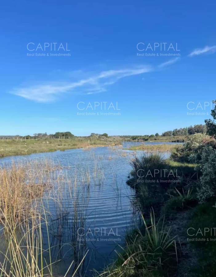 Chacra en Venta en Jose Ignacio