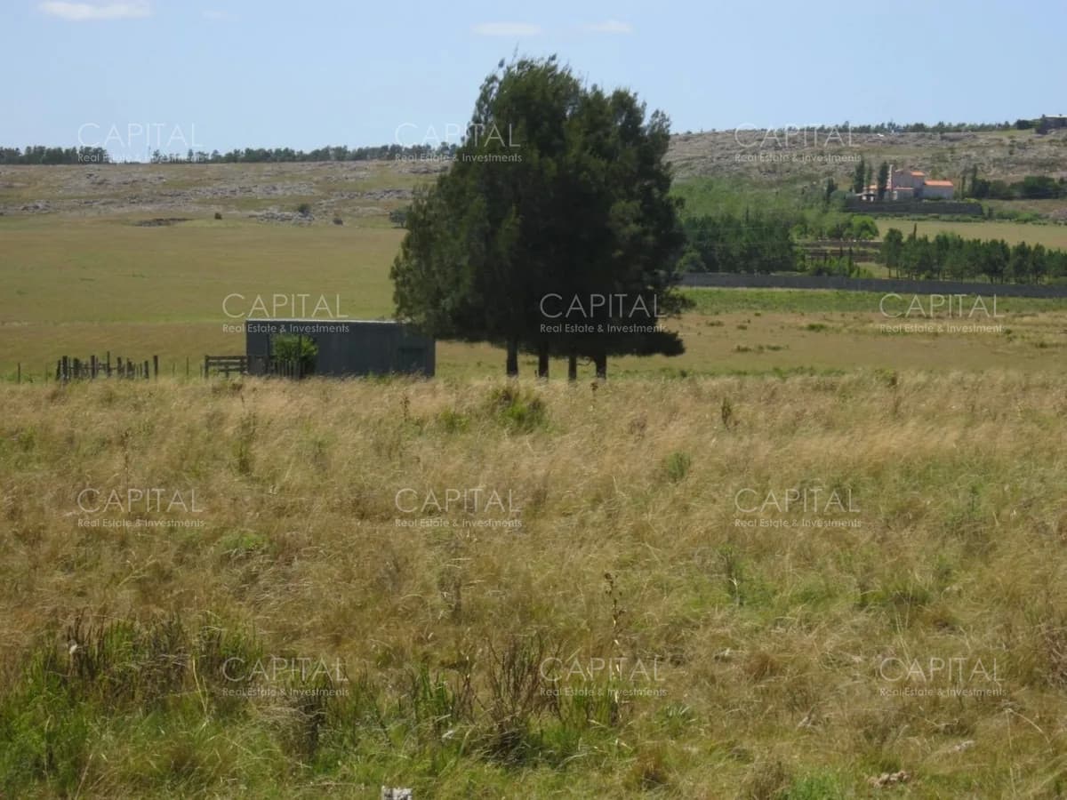 Chacra de 15 has en excelente ubicación
