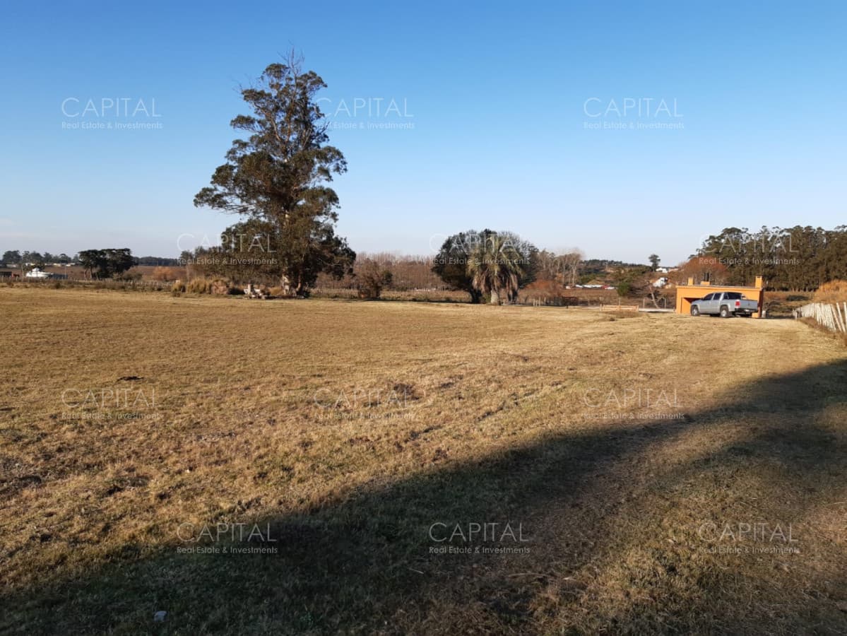 Chacra de 5HAS en venta pegado al Club de Tiro