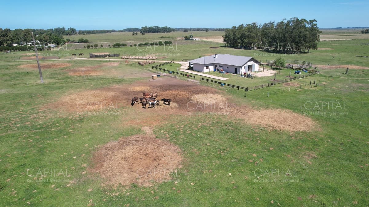 Haras en Venta de  22has en La Coronilla, Rocha