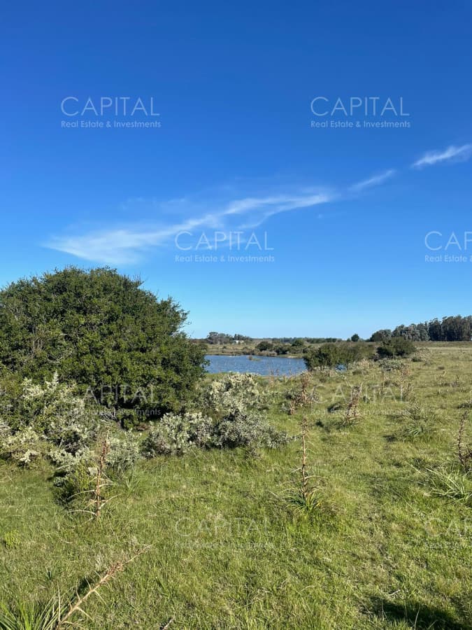 Chacra en venta, muy cerca de Club de Polo Santa Cruz.