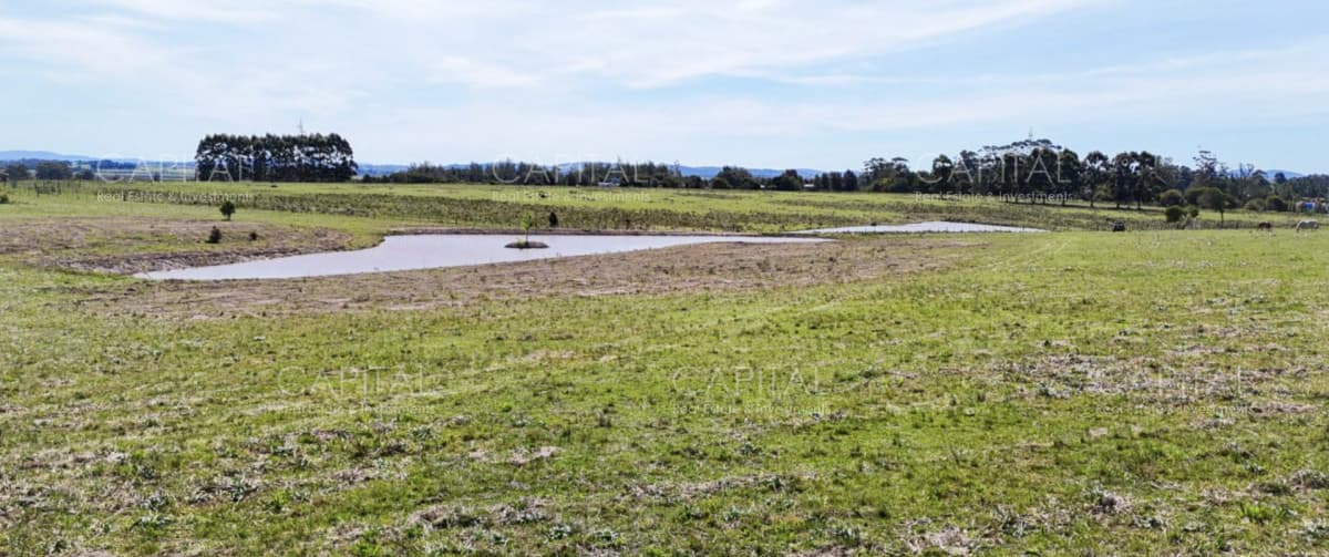 Chacra en venta 5 has en Camino Eguzquiza próxima al Quijote