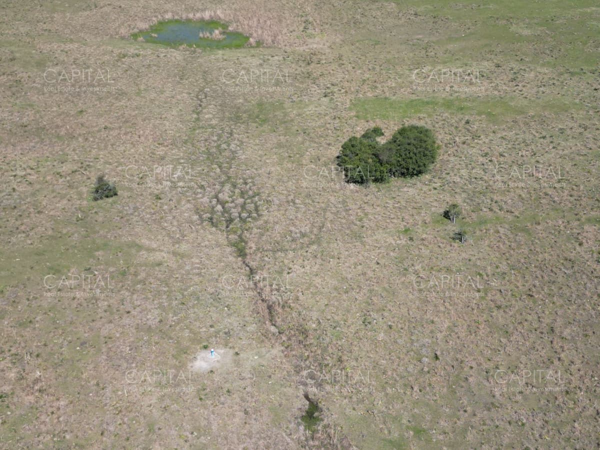 Chacra de 10 has próxima a ruta 39 con arroyo