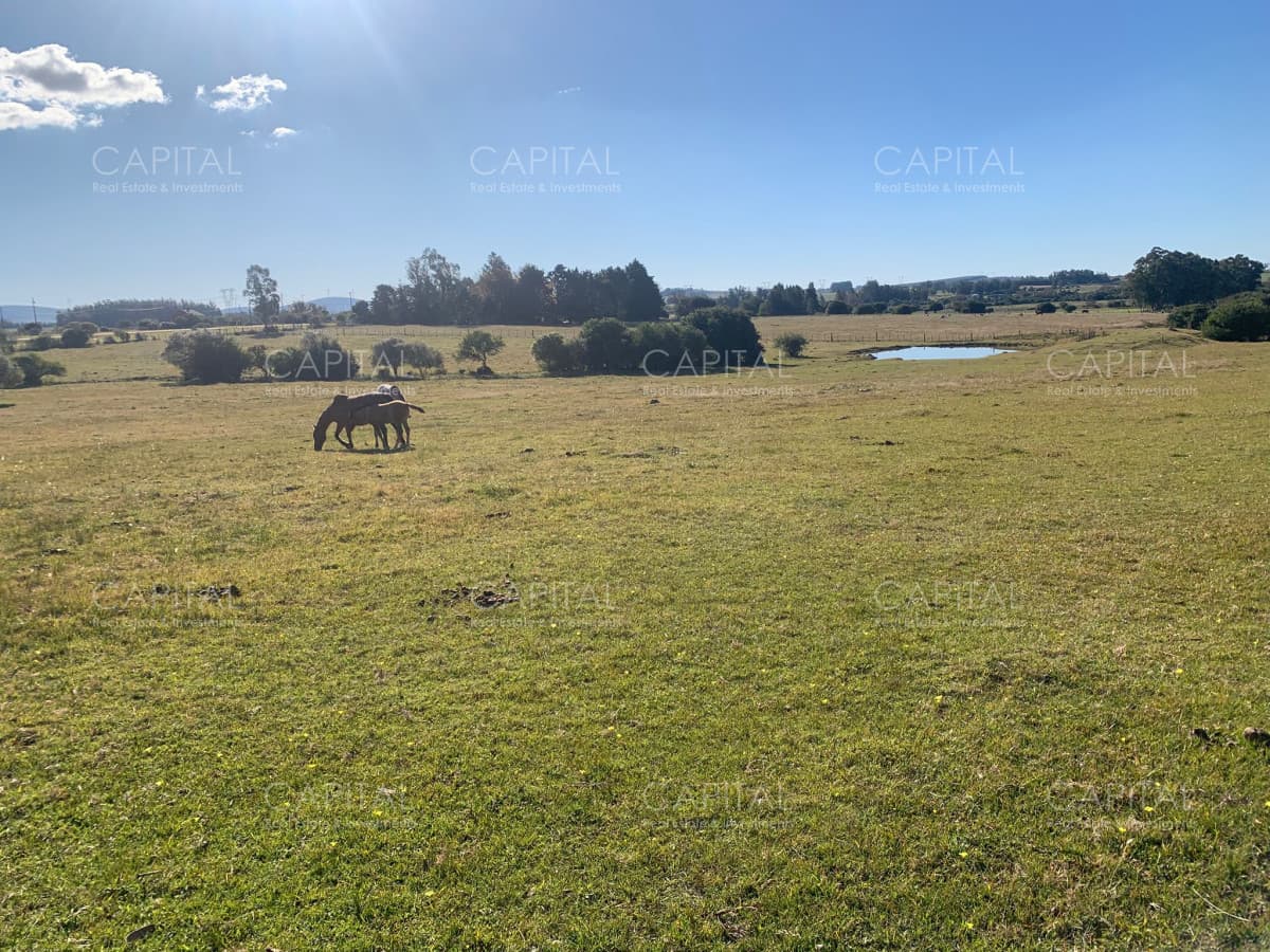 Chacra 5 has próxima a San Carlos